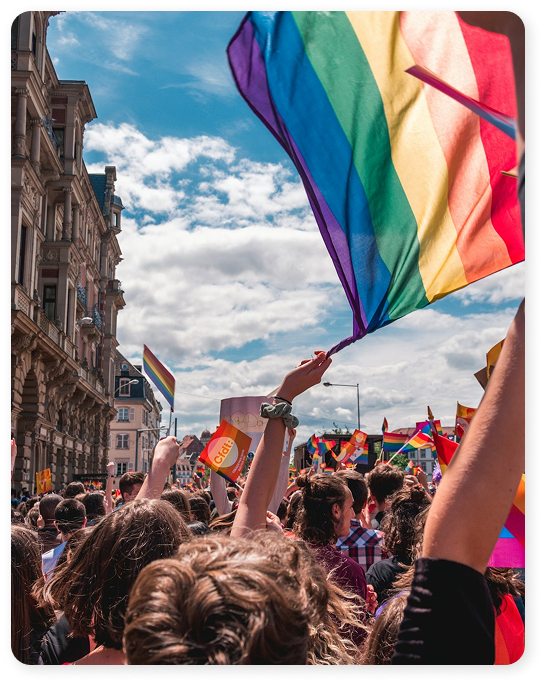 group of people celebrating with flags
